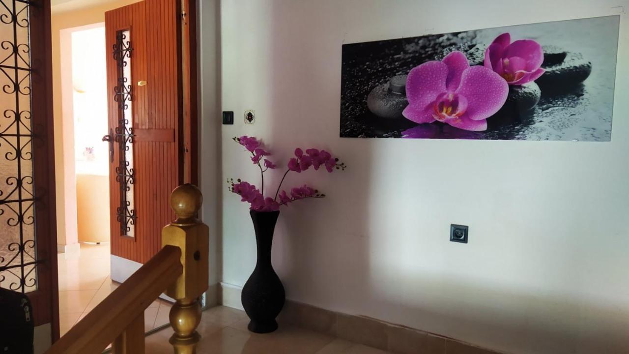 Villa Goda Tučepi Esterno foto